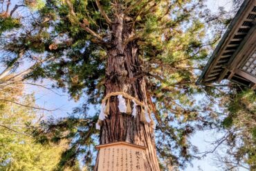 群馬から新潟へ